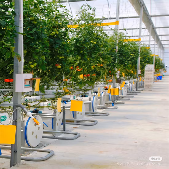 Persiane in alluminio con profilo alare, schermatura solare per uso esterno e feritoie in alluminio per tetto a pergola in alluminio motorizzato e impermeabile